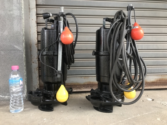 ขายไดโว่ Ebara 1HP. 220V ไฟบ้าน รุ่นมีลูกลอยตัดการทำงานในตัว made in Japan สภาพสวยมาก ขนาดท่อ 2นิ้ว หมุนนิ่ม พร้อมใช้งาน มี 2ตัวครับ