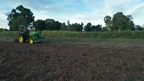 ขายผาน5กระทู้ไถกลบฟาง ผลิตตามสั่ง ไถนาแห้งได้ ไถเปียกได้ ไถกลบตอซังเด็ดมาก