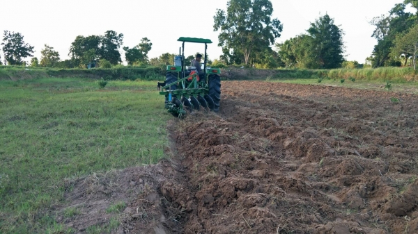 ขายผาน5กระทู้ไถกลบฟาง ผลิตตามสั่ง ไถนาแห้งได้ ไถเปียกได้ ไถกลบตอซังเด็ดมาก