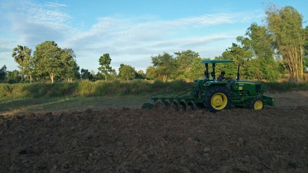 ขายผาน5กระทู้ไถกลบฟาง ผลิตตามสั่ง ไถนาแห้งได้ ไถเปียกได้ ไถกลบตอซังเด็ดมาก