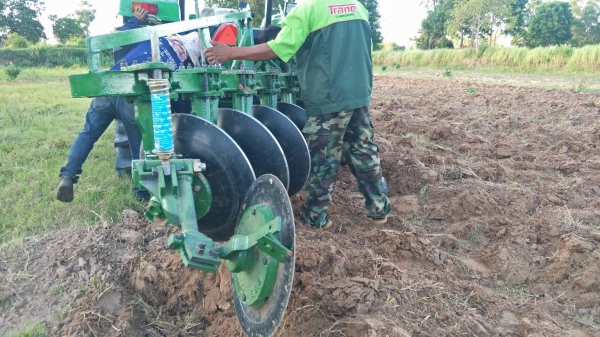 ขายผาน5กระทู้ไถกลบฟาง ผลิตตามสั่ง ไถนาแห้งได้ ไถเปียกได้ ไถกลบตอซังเด็ดมาก