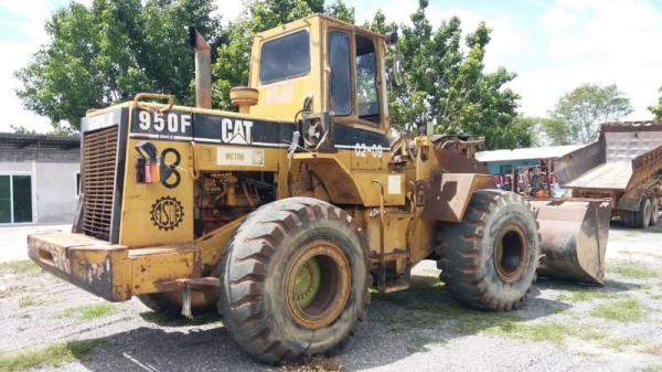ขาย 695,000 CAT 950 F เครื่องดี เกียร์แรง เอวแน่น แขนตักสวย ยางใหม่ รถสวยพร้อมใช้ เอกสารซื้อขาย รถอยู่ นครราชสีมา 092-595-6777 061-446-2662 ญิ๋งยุ ขาย 695,000 CAT 950 F เครื่องดี เกียร์แรง เอวแน่น แขนตักสวย ยางใหม่ รถสวยพร้อมใช้ เอกสารซื้อขาย รถอยู่ นครราชสีมา 092-595-6777 061-446-2662 ญิ๋งยุ
