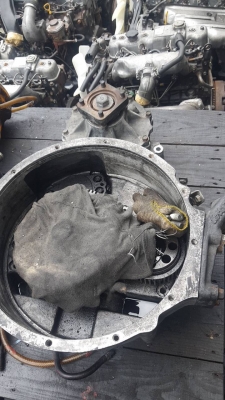 หัวหมู ปั่นปูน ISUZU 6HE1 195 หัวหมู ปั่นปูน ISUZU 6HE1 195