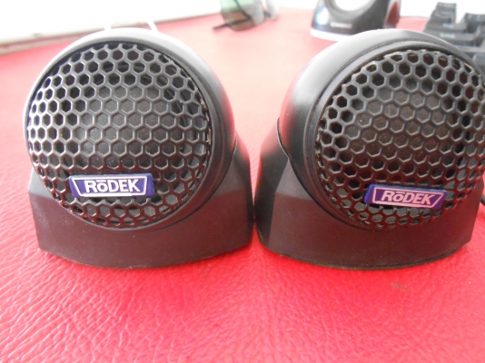 เสียงแหลม Rodex