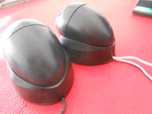 เสียงแหลม Rodex