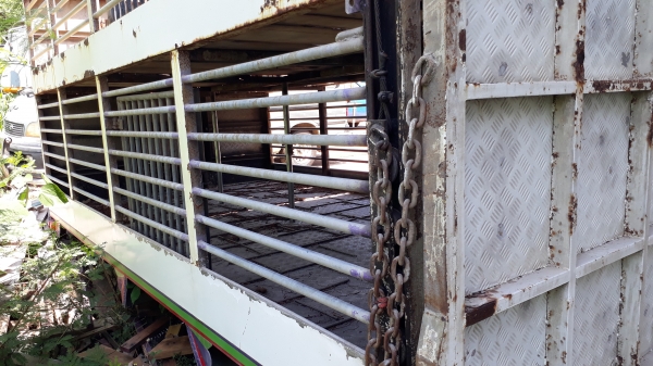 กระบะคอกหมู เหลส กว้าง 2.20 ยาว 4.50 ม.