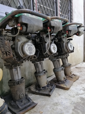 ขายเครื่องตบดินจิงโจ้ wackerneuson แบบกระโดด 5 ตัน