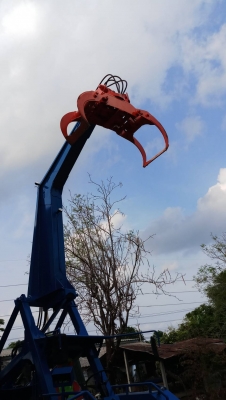 รถคีบไม้