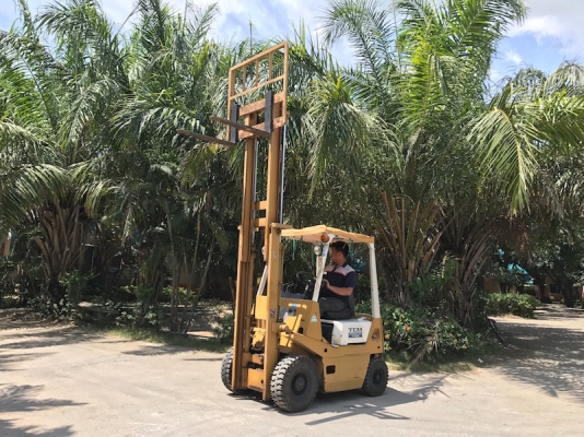 (ลดกระหน่ำ) ขายFORKLIFT TCM FG10(เสา3เมตร)(1.ตัน)(ยางใหม่) สวยเดิมจากญี่ปุ่น ยังไม่เคยใช้ในไทย 85,000เท่านั้น!!