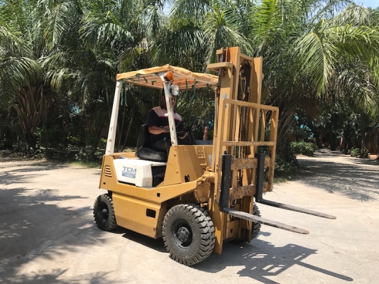 (ลดกระหน่ำ) ขายFORKLIFT TCM FG10(เสา3เมตร)(1.ตัน)(ยางใหม่) สวยเดิมจากญี่ปุ่น ยังไม่เคยใช้ในไทย 85,000เท่านั้น!!
