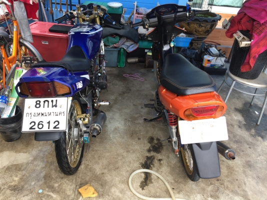 ขาย tzr ซูๆกิคริสตันรอยัล