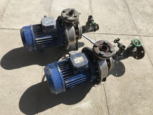 ( เหลือ 1ตัวครับ )ขายปั๊มน้ำหอยโข่งหัวปั๊มสแตนเลส Ebara 7.5HP. 380V made in Italy ขนาดเข้า 2นิ้ว ออก 1.5นิ้ว รุ่นแรงดันสูงส่งไกล สภาพเดิมๆ หมุนนิ่ม พร้อมใช้งาน มี 2ตัวครับ
