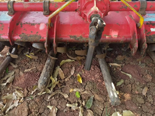 YANMAR EF 393T - 4WD ปี 57 รถไถ 2 เพลา เอกสารทะเบียน รถ 39 แรงทำงาน 2,200 ชม สวยสภาพดีพร้อมใช้งานได้เลยครับ อุปกรณ์ 3 ชิ้น มีใบดันหน้า ผาน 5 โรตารี่ สภาพดีทุกชิ้นพร้อมใช้งาน เครื่องแรงดี ช่วงล่างแน่น ราคาต่อรองได้ครับ YANMAR EF 393T - 4WD ปี 57 รถไถ 2 เพลา เอกสารทะเบียน รถ 39 แรงทำงาน 2,200 ชม สวยสภาพดีพร้อมใช้งานได้เลยครับ อุปกรณ์ 3 ชิ้น มีใบดันหน้า ผาน 5 โรตารี่ สภาพดีทุกชิ้นพร้อมใช้งาน เครื่องแรงดี ช่วงล่างแน่น ราคาต่อรองได้ครับ