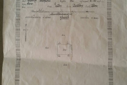 ขายที่ดินในอำเภอเมืองพิษณุโลก (ใกล้ดิลกภัณฑ์)