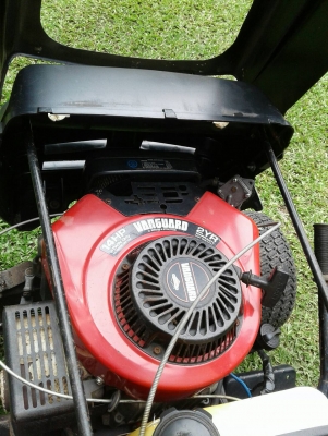 ขายด่วน ~ รถตัดหญ้ามือสอง 55,000฿ ขายด่วน ~ รถตัดหญ้ามือสอง 55,000฿