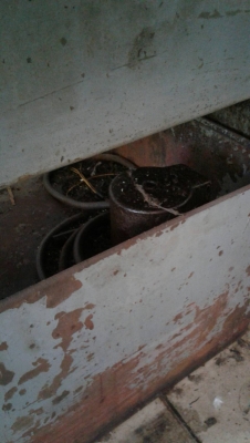 ขายเครื่องกลึงญี่ปุ่นแน่นๆ ขายเครื่องกลึงญี่ปุ่นแน่นๆ