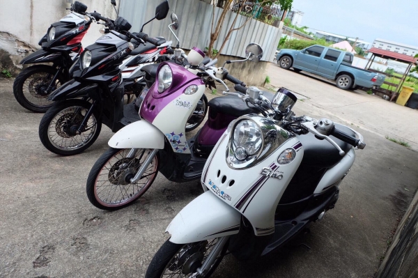 ขายเหมา 4คัน 50,000 เครื่องเดิม รถติดขับได้ เล่มพร้อมชุดโอนลอย ทุกคัน ภาษี62-63 บางบัวทอง นนทบุรี โท