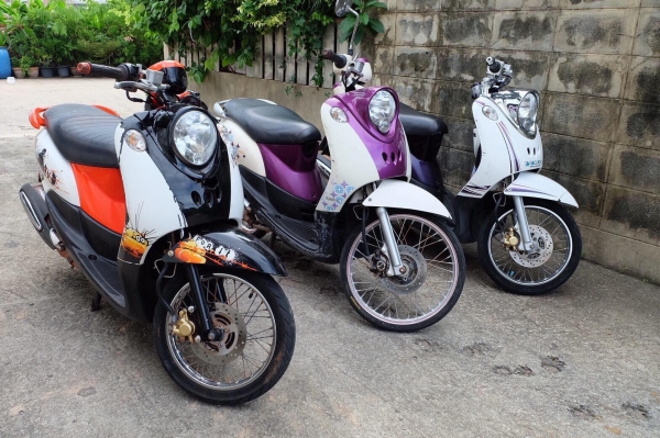 ขายเหมาฟีโน่ เกย์แยก 37,500 บาท เดิม เล่มพร้อมชุดโอนลอย อยู่บางบัวทอง นนทบุรี โทร084-3545593 แบงค์