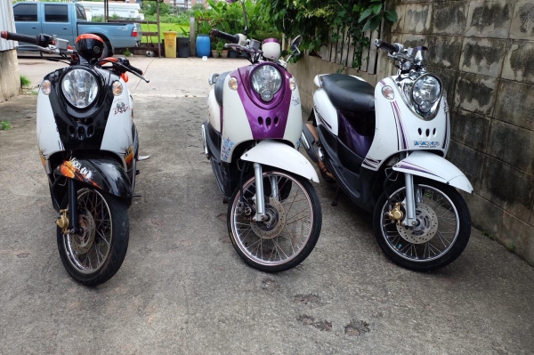 ขายเหมาฟีโน่ เกย์แยก 37,500 บาท เดิม เล่มพร้อมชุดโอนลอย อยู่บางบัวทอง นนทบุรี โทร084-3545593 แบงค์ ขายเหมาฟีโน่ เกย์แยก 37,500 บาท เดิม เล่มพร้อมชุดโอนลอย อยู่บางบัวทอง นนทบุรี โทร084-3545593 แบงค์