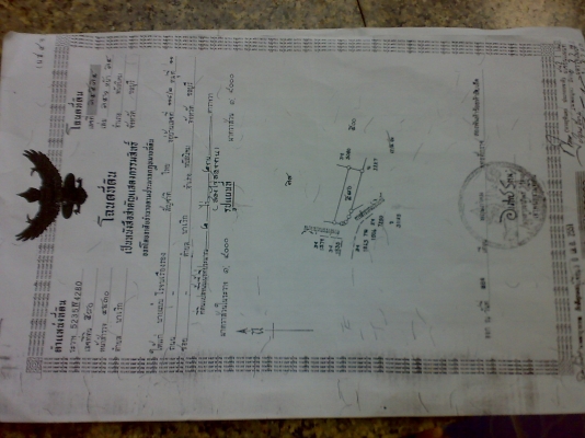 ขายด่วนบ้านพร้อมทื่ดินถูกๆ เนื้อที่ 2.5 ไร่ สวยๆแถวพนัสนิคม ชลบุรี