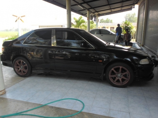 ฮอนด้า ชีวิค