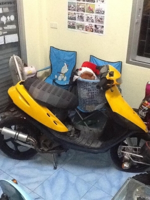 ขาย ป๊อบ dio เครื่อง mio