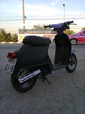 ขายป๊อป HONDA  C50