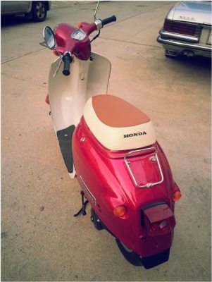 Honda giorno 50cc (สีชมพูบานเย็น) Honda giorno 50cc (สีชมพูบานเย็น)