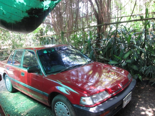 ขาย HONDA CIVIC