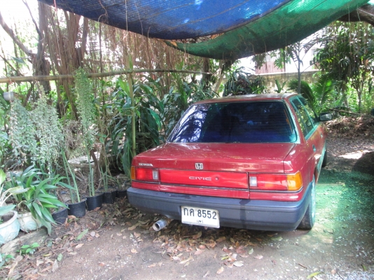 ขาย HONDA CIVIC