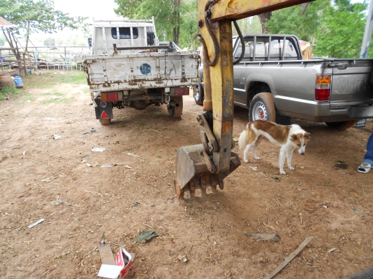 ลดราคา ขายรถขุดเล็กสภาพพร้อมใช้งาน เทียบเท่า PC30 รึ 40 IHI ขายตามสภาพ มีVDO ลดราคา ขายรถขุดเล็กสภาพพร้อมใช้งาน เทียบเท่า PC30 รึ 40 IHI ขายตามสภาพ มีVDO