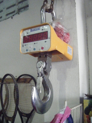 ตาชั่งแขวนดิจิตอล5ตัน ตาชั่งแขวนดิจิตอล5ตัน