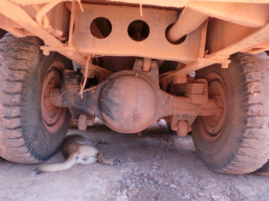 MITSUBISHI FUSO หัวเปลี่ยน เครื่องเดิม  คัซซีสวย  เล่มทะเบียนพร้อมโอน