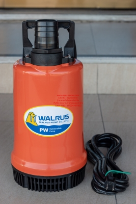 ปั๊มแช่ ปั๊มน้ำ ไดโว่ Walrus รุ่น PW400A ขนาด 2 นิ้ว ของใหม่ แกะกล่อง
