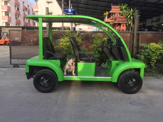 ขายรถกอล์ฟไฟฟ้า 4ที่นั่ง รูปทรงคล้ายรถยนต์ ขายรถกอล์ฟไฟฟ้า 4ที่นั่ง รูปทรงคล้ายรถยนต์