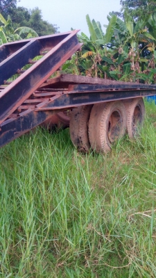 หางลาก เทนเลอร์ หางพับ หางลาก เทนเลอร์ หางพับ