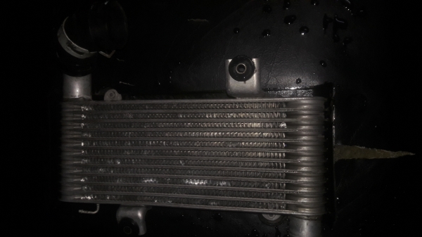 อินเตอร์คูลเลอร์ของ มิร่า