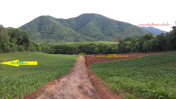 ขายที่ดินบนเนินเขาเพชรบูรณ์  มีโฉนด ตรงข้ามอ่างเก็บน้ำ ใกล้อุทยานแห่งชาติ เนื้อที่2ไร่89ตรว.ไร่ละ 360,000บาท แบ่งขายได้ ผ่อนกับเจ้าของที่ดินได้