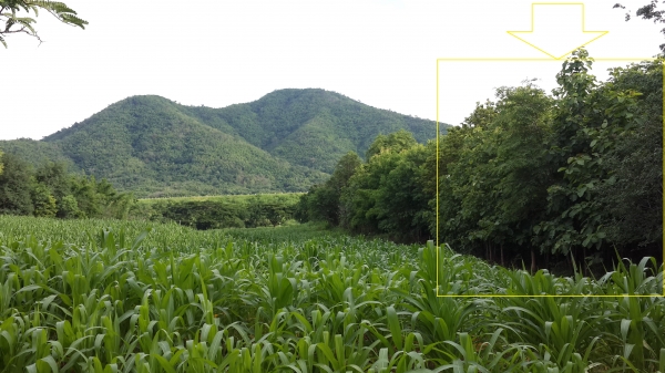 ขายที่ดินบนเนินเขาเพชรบูรณ์  มีโฉนด ตรงข้ามอ่างเก็บน้ำ ใกล้อุทยานแห่งชาติ เนื้อที่2ไร่89ตรว.ไร่ละ 360,000บาท แบ่งขายได้ ผ่อนกับเจ้าของที่ดินได้