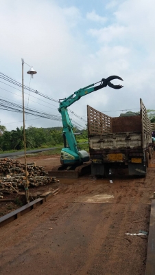 แมคโคร คีบไม้