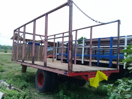 ขายสาลี่ พร้อมใช้งาน