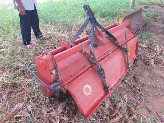 โรตาลี่พร้อมยอยครับ