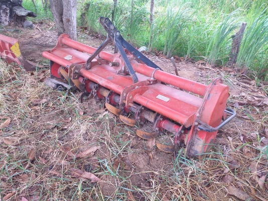 โรตาลี่พร้อมยอยครับ