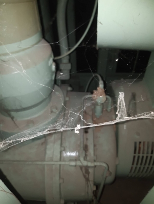 ขายคครับ #ปั๊มลมsullair110kw150HP  #พร้อมถังพร้อมแอร์ไดเออร์  #ของใหม่ครับ ขาย600,000