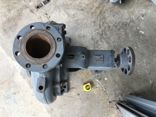 ขายหัวปั๊มน้ำหอยโข่ง Ebara 125x100 FSL ขนาดเข้า 5นิ้ว ออก 4นิ้ว ใบพัดทองเหลือง สภาพสวย ใหม่มาก ใช้งานไม่นาน หมุนนิ่ม พร้อมใช้งาน