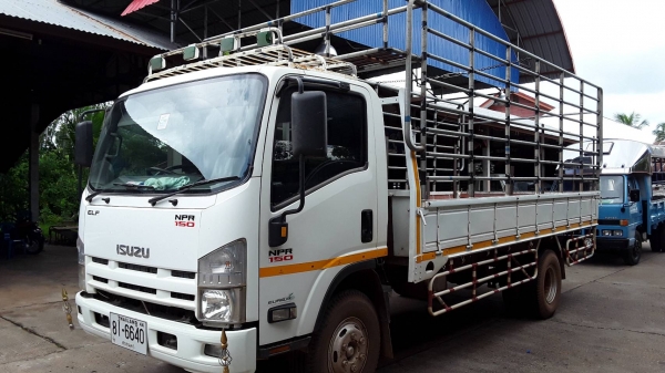 Isuzu NPR 150 กะบะยาว 5ม เล่มพร้อม Isuzu NPR 150 กะบะยาว 5ม เล่มพร้อม