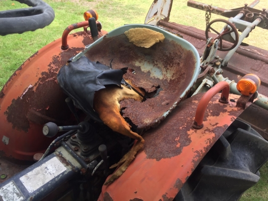 ลด ล้างสต็อก!!! 32,000 บาท (งดต่อรอง) ขายรถไถเล็ก YANMAR YM1401 เก่าญี่ปุ่น ลด ล้างสต็อก!!! 32,000 บาท (งดต่อรอง) ขายรถไถเล็ก YANMAR YM1401 เก่าญี่ปุ่น