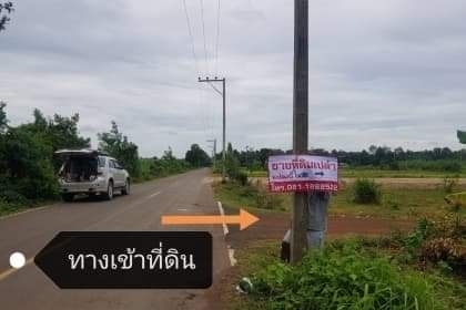 ที่ดินเปล่าในเขตอำเภอหนองกี่ บุรีรัมย์ ที่ดินเปล่าในเขตอำเภอหนองกี่ บุรีรัมย์