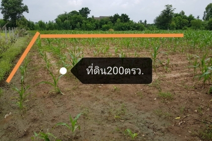 ที่ดินเปล่าในเขตอำเภอหนองกี่ บุรีรัมย์
