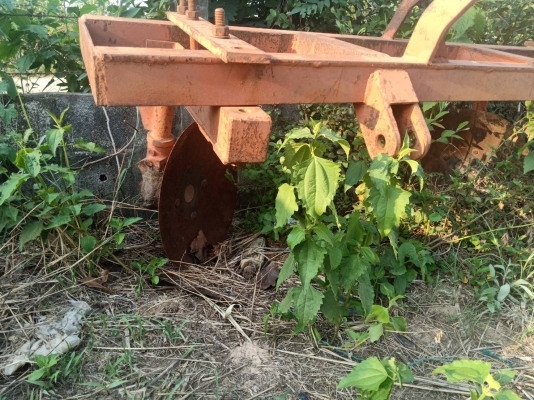 ขายด่วน